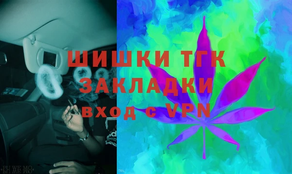 ПСИЛОЦИБИНОВЫЕ ГРИБЫ Богданович
