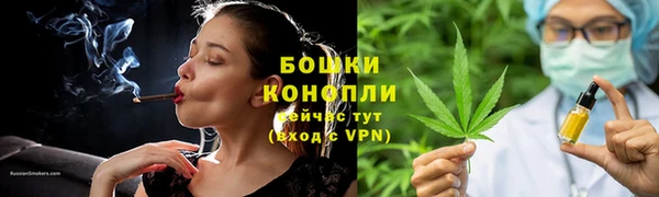 ПСИЛОЦИБИНОВЫЕ ГРИБЫ Богданович