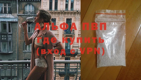 тгк Белокуриха