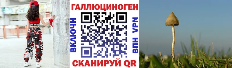 кракен как войти  Гаврилов-Ям  Галлюциногенные грибы MAGIC MUSHROOMS 